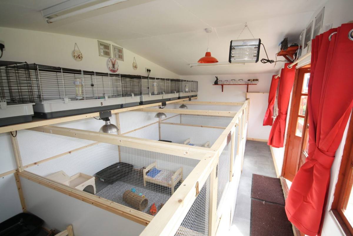 Inside the Lodge, with individual suites and guinea pig cages above