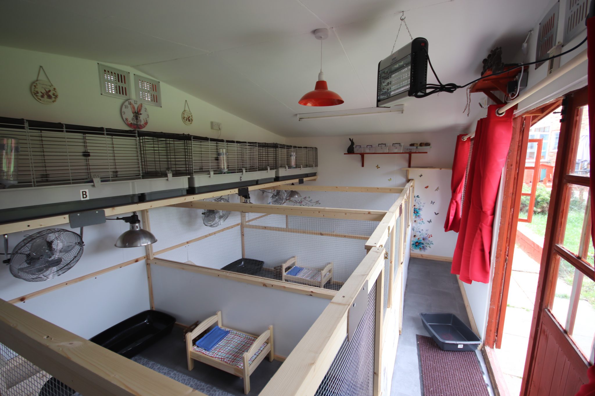 Rabbit Redbeck Rabbit Boarding