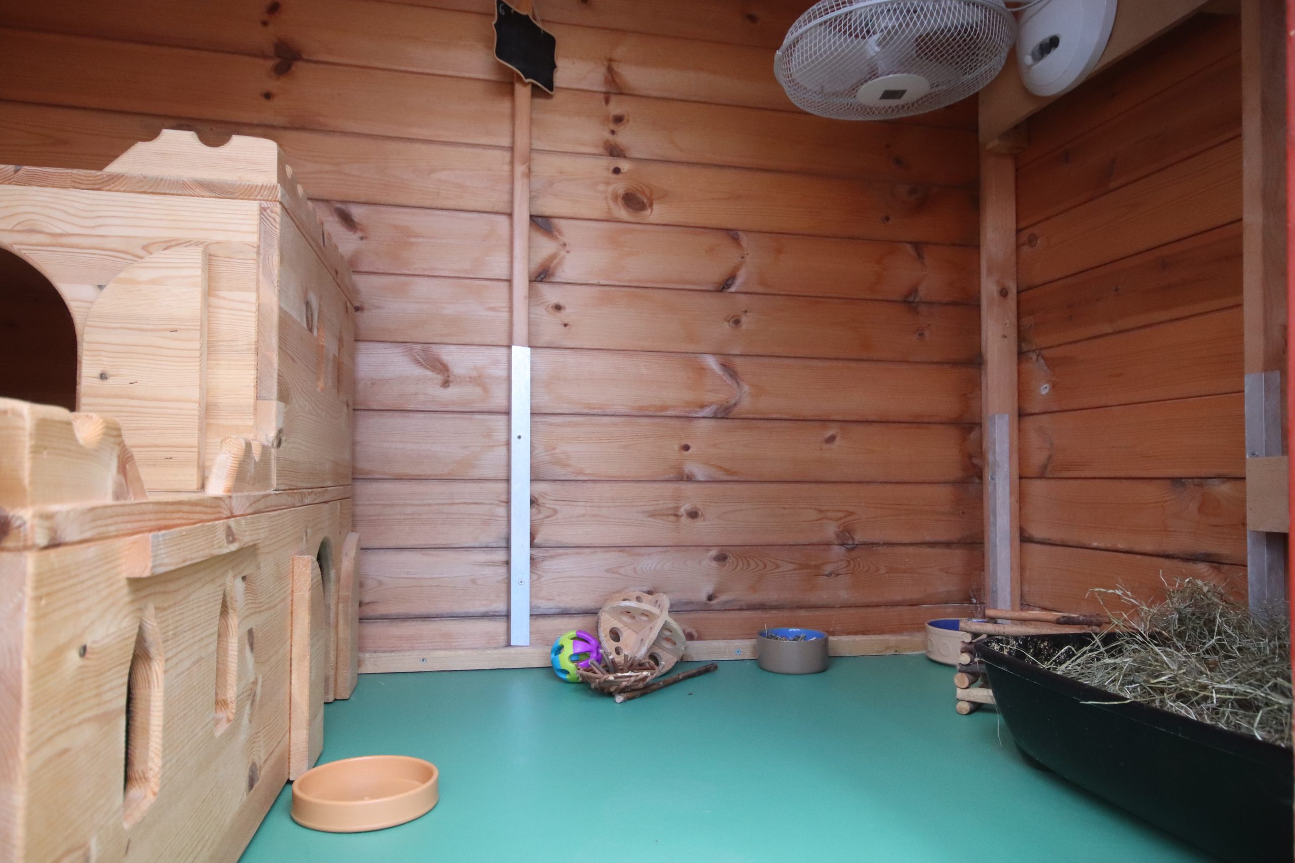 Cottage Rabbit Accommodation Internal