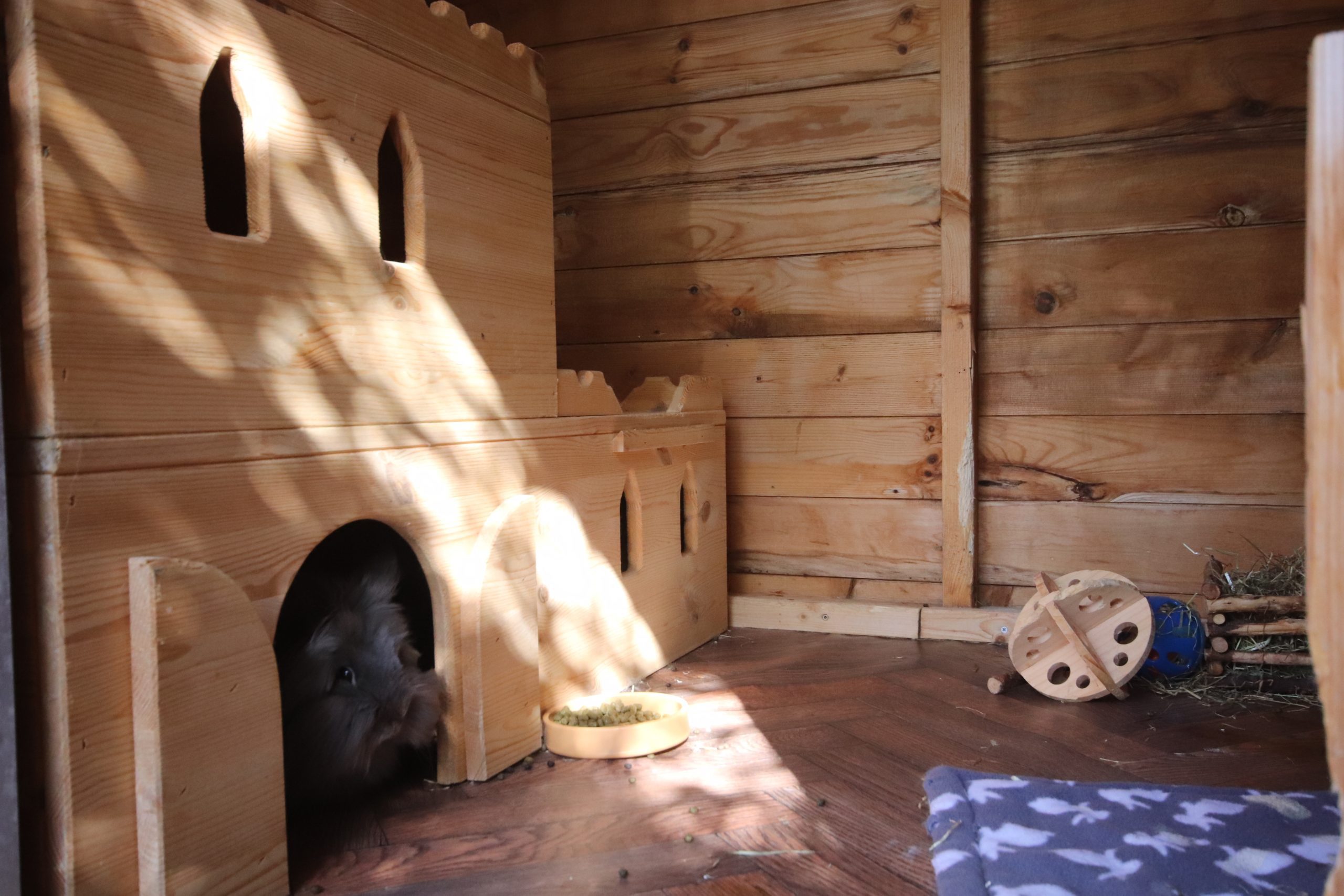Chalet Rabbit Accommodation Internal