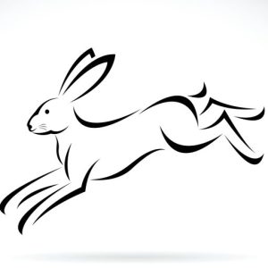 Redbeck Rabbit