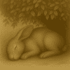 How Rabbits Regulate Body Temperature (And Why Heatwaves Can Kill) - Rabbit Block Temperatures During Heat Waves
